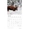 Cabin Country | 2026 12 x 24 Inch (Hanging) Monthly Square Wall Calendar